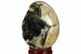 Septarian Dragon Egg Geode - Black Crystals #123031-2